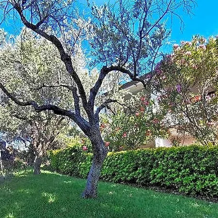 La Casa Di Rita In Muriscuvo *
